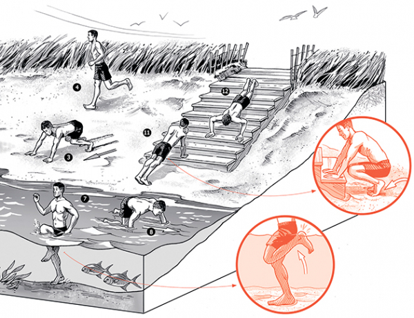 Камень, дерево, вода: твоя новая тренировка на свежем воздухе