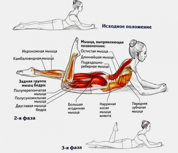 Упражнения пилатеса в домашних условиях. Видео-уроки для начинающих