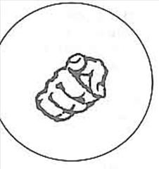 Активация чакр с помощью мудр: эффективная практика для каждого энергетического центра Активация чакр с помощью мудр: эффективная практика для каждого энергетического центра