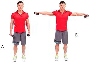 Годовая программа по набору массы от Men&rsquo;s Health. Этап 4. Часть 2