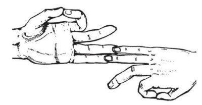 8 мощных мудр для привлечения изобилия 8 мощных мудр для привлечения изобилия