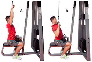 Годовая программа по набору массы от Men&rsquo;s Health. Этап 4. Часть 2