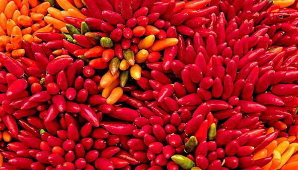 Как избавиться от простуд с помощью йоги? Как избавиться от простуд с помощью йоги?