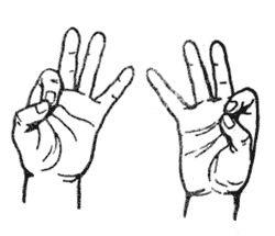 Йога для пальцев. Какие бывают мудры и что они означают