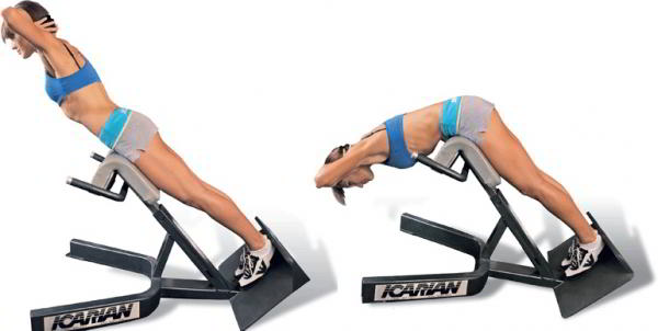 Программы тренировок для девушек Программы тренировок для девушек