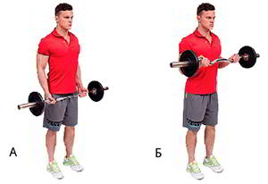 Годовая программа по набору массы от Men&rsquo;s Health. Этап 4. Часть 2