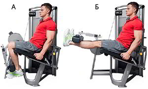 Годовая программа по набору массы от Men&rsquo;s Health. Этап 4. Часть 2