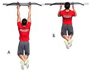 Годовая программа по набору массы от Men&rsquo;s Health. Этап 4. Часть 2