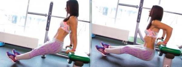 Программы тренировок для девушек Программы тренировок для девушек