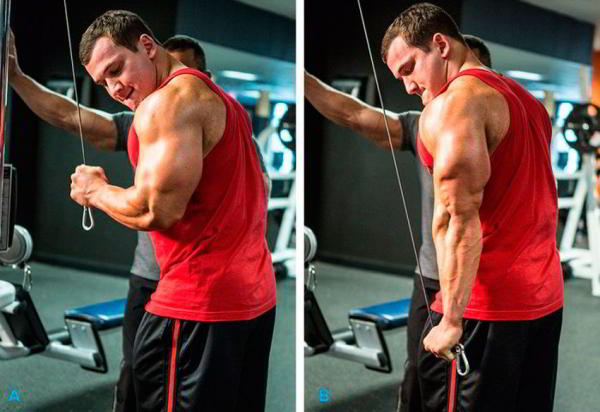 Разгибание руки на верхнем блоке стоя Разгибание руки на верхнем блоке стоя