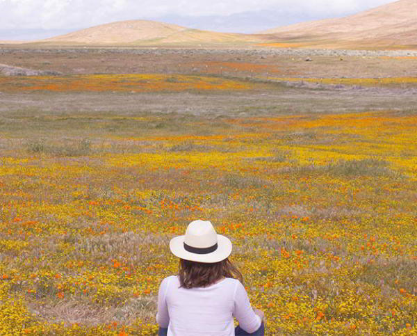 Думайте о смерти, чтобы почувствовать жизнь