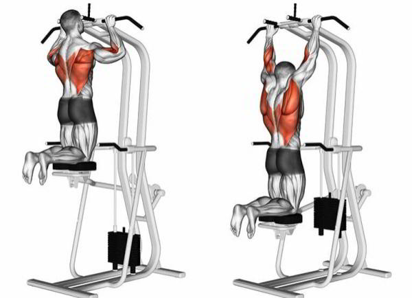 Подтягивания в гравитроне для девушек. Какие мышцы работают, техника