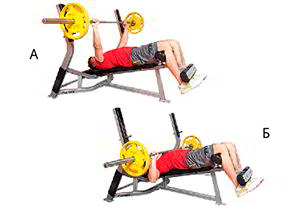 Годовая программа по набору массы от Men&rsquo;s Health. Этап 4. Часть 2