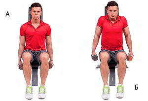 Годовая программа по набору массы от Men&rsquo;s Health. Этап 4. Часть 2