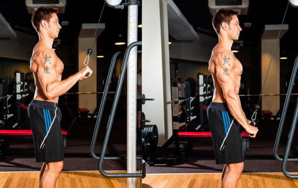 Разгибание рук с верхнего блока