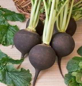 Маски для лица из черной редьки Маски для лица из черной редьки