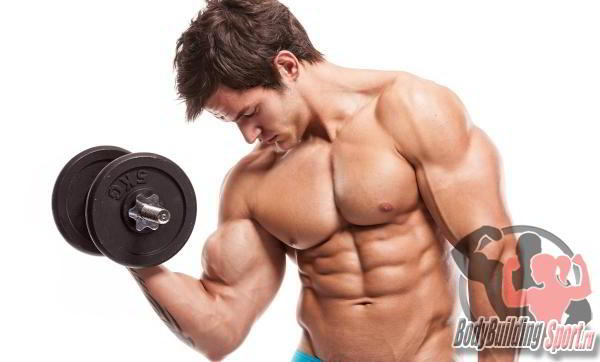 Бицепс: упражнения и правила набора массы