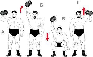 9 отцов-основателей фитнеса: от Пилатеса до Шварценеггера