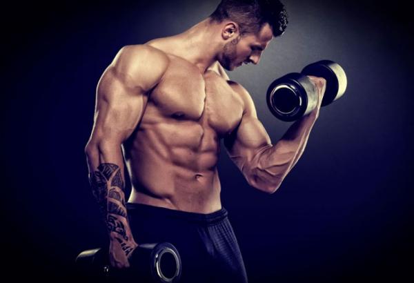 Программа тренировок для начинающих