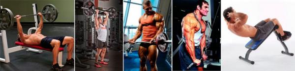 Программа тренировок для начинающих