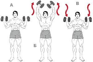 9 отцов-основателей фитнеса: от Пилатеса до Шварценеггера