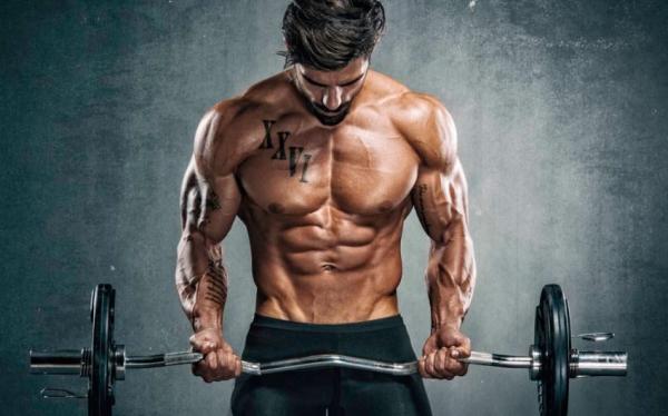 Программа тренировок для начинающих