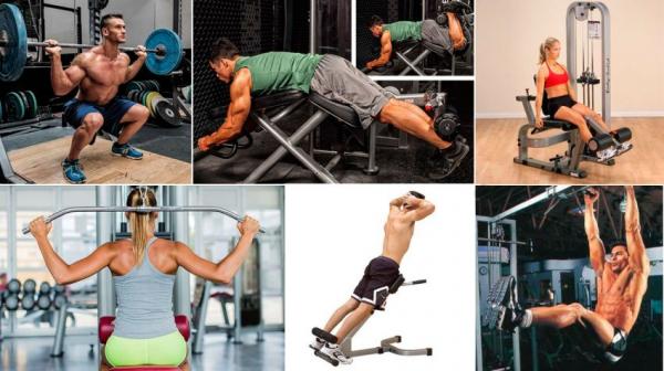 Программа тренировок для начинающих