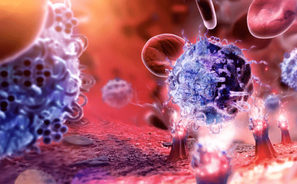 Иммунитет в период вирусных заболеваний: поддержка организма с помощью продуктов Herbalife Nutrition