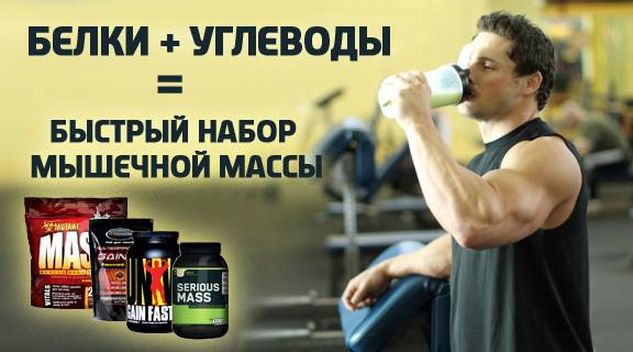 Что лучше креатин или протеин?