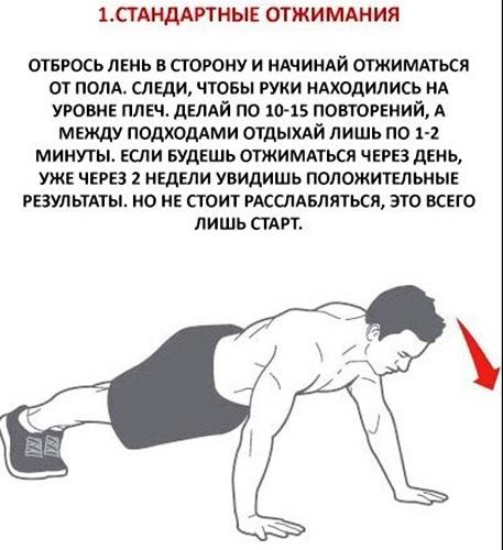100 отжиманий в день за месяц. Результаты, фото до и после