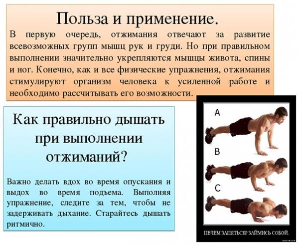 100 отжиманий в день за месяц. Результаты, фото до и после