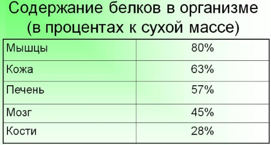Белковые коктейли для набора мышечной массы. Рецепты, цены, какие купить