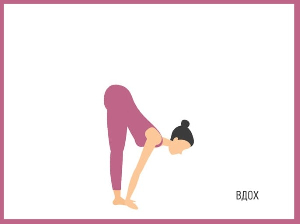 Приветствие Солнцу комплекс упражнений для начинающих. Польза йоги, как делать Приветствие Солнцу комплекс упражнений для начинающих. Польза йоги, как делать