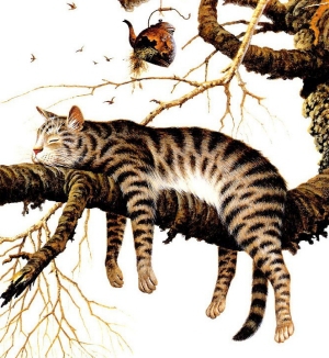 Лучший предтренировочный комплекс