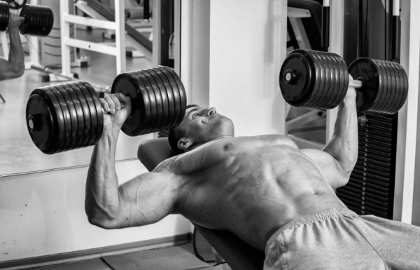 Программа тренировок для эктоморфа Программа тренировок для эктоморфа