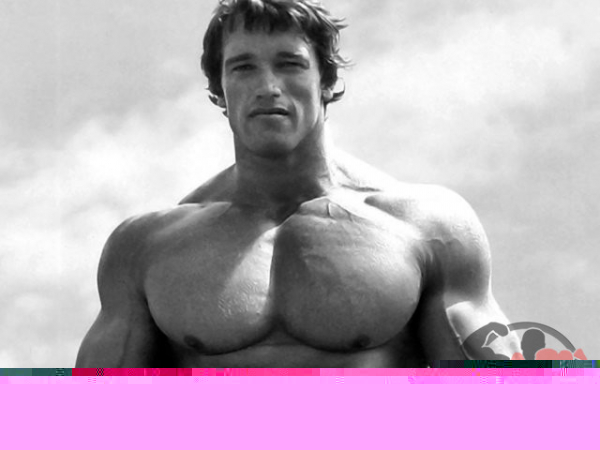 Арнольд Шварценеггер &ndash; Рост, вес, бицепс, грудь, жим, антропометрия и силовые показатели