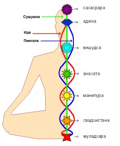 Какими энергетическими каналами и центрами пронизан человек?