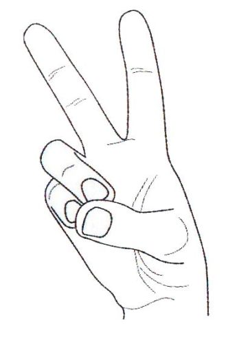 Какие мудры выполнять для повышения иммунитета?