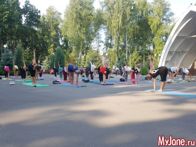 Йога для начинающих: скрутки из положения &laquo;стоя&raquo;