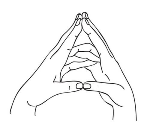 Какие делать мудры для желудка и пищеварения?