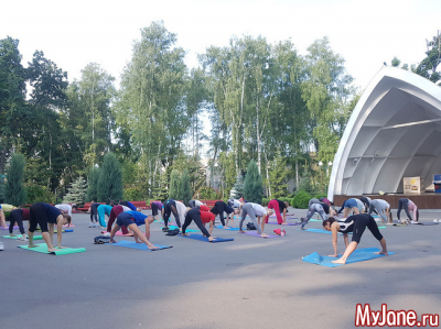 Йога для начинающих: скрутки из положения &laquo;стоя&raquo;