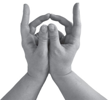 Для чего и как выполнять мудру &ldquo;Бесстрашный тигр&rdquo;?