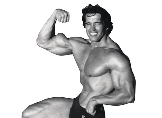 Секретная тренировка Арнольда Шварценеггера: 4 шага к &laquo;Мистеру Олимпия&raquo;