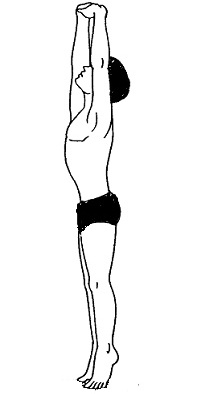 Полное очищение всего ЖКТ: все нюансы и инструкция по выполнению Шанк Пракшаланы