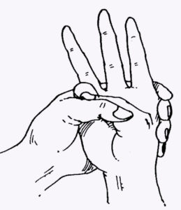 Какие делать мудры для лечения печени и желчного пузыря?