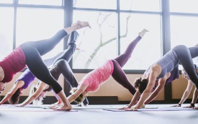 Все особенности и принципы Аштанга-виньясы йоги: мощное укрепление тела и духа