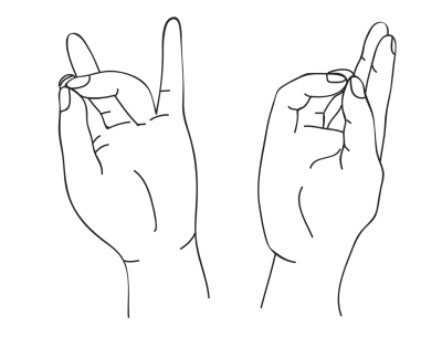 Какие делать мудры для поджелудочной железы?