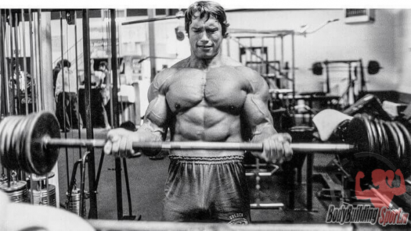 Тренировка бицепса &ndash; советы Арнольда