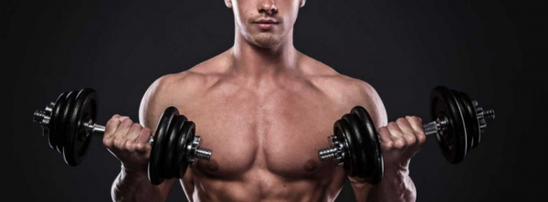 Программа тренировок для эктоморфа Программа тренировок для эктоморфа