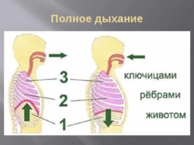 Мощное воздействие на всех уровнях – освойте технику выполнения полного йоговского дыхания Мощное воздействие на всех уровнях – освойте технику выполнения полного йоговского дыхания